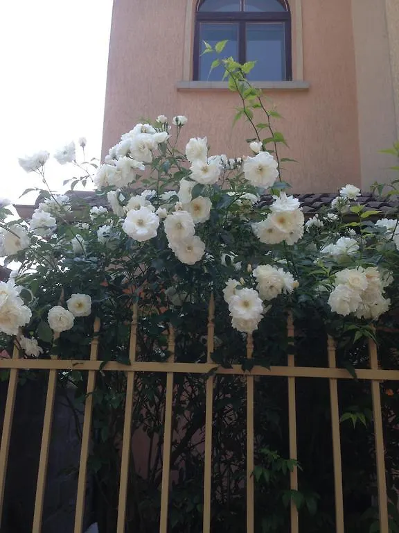 Apartment Morskoi Gnom Burgas 0*,  Bulgaria