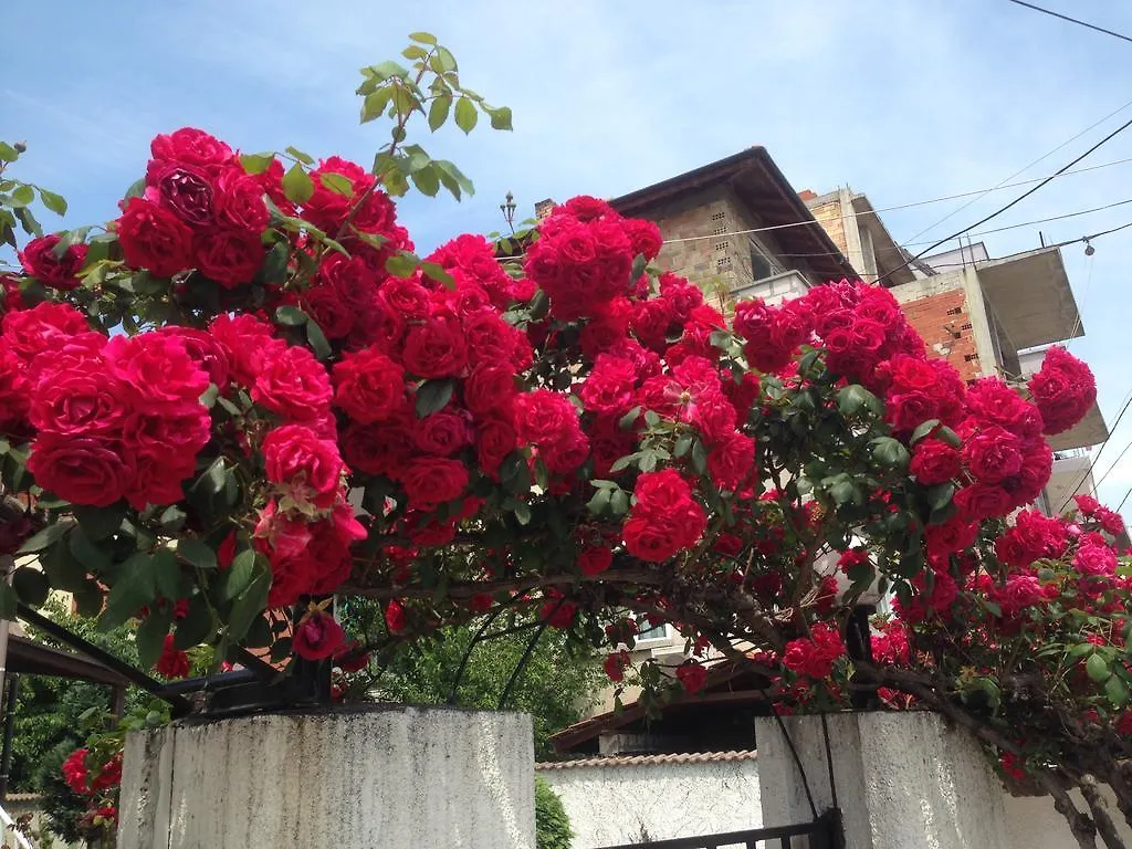 Apartment Morskoi Gnom Burgas Bulgaria